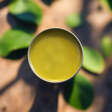 Load image into Gallery viewer, Tattoo Salve