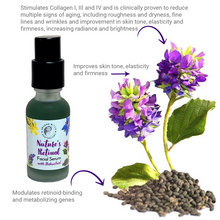 Load image into Gallery viewer, Facial Serum - Nature's Retinol