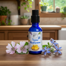 Load image into Gallery viewer, Anti-aging Hydration Cream - Snow Mushroom