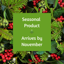 Load image into Gallery viewer, Handcrafted Soap - Balsam