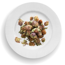 Load image into Gallery viewer, Bulk Botanicals - Red Clover Blossums
